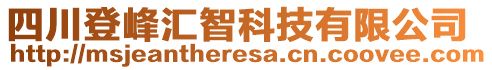 四川登峰匯智科技有限公司