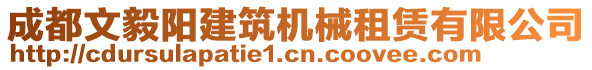 成都文毅陽建筑機(jī)械租賃有限公司