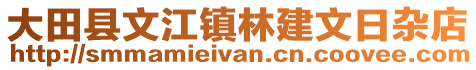 大田县文江镇林建文日杂店