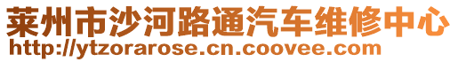 萊州市沙河路通汽車維修中心