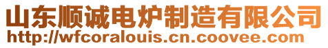 山東順誠(chéng)電爐制造有限公司