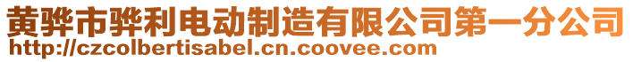 黃驊市驊利電動制造有限公司第一分公司