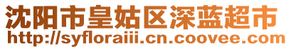 沈陽(yáng)市皇姑區(qū)深藍(lán)超市