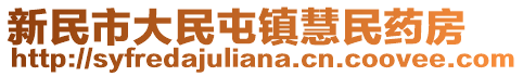 新民市大民屯镇慧民药房