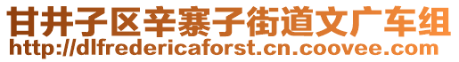 甘井子區(qū)辛寨子街道文廣車組