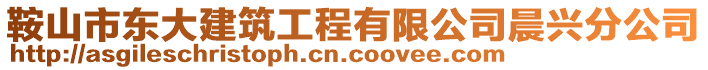 鞍山市東大建筑工程有限公司晨興分公司