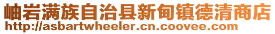 岫岩满族自治县新甸镇德清商店