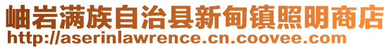 岫岩满族自治县新甸镇照明商店