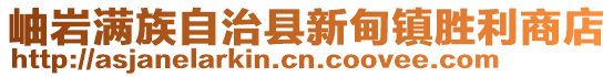 岫岩满族自治县新甸镇胜利商店