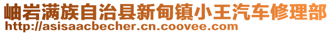 岫巖滿族自治縣新甸鎮(zhèn)小王汽車修理部