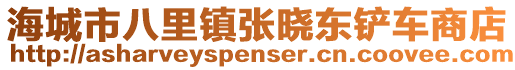 海城市八里鎮(zhèn)張曉東鏟車商店