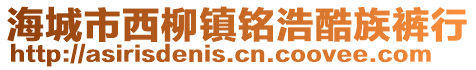 海城市西柳鎮(zhèn)銘浩酷族褲行