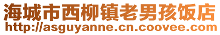海城市西柳鎮老男孩飯店