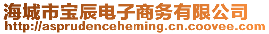 海城市寶辰電子商務有限公司
