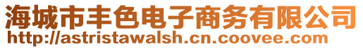 海城市豐色電子商務有限公司