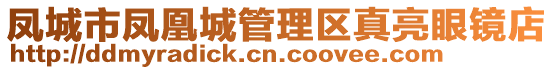 鳳城市鳳凰城管理區(qū)真亮眼鏡店