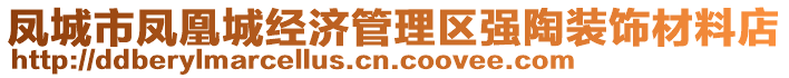 鳳城市鳳凰城經(jīng)濟管理區(qū)強陶裝飾材料店