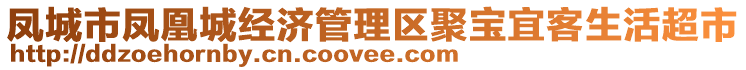 鳳城市鳳凰城經濟管理區聚寶宜客生活超市