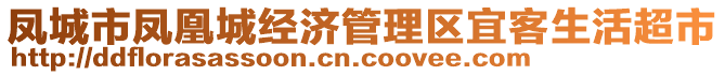 鳳城市鳳凰城經(jīng)濟(jì)管理區(qū)宜客生活超市