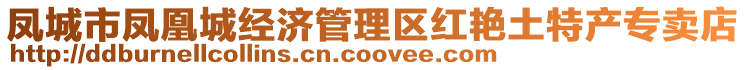 鳳城市鳳凰城經(jīng)濟管理區(qū)紅艷土特產(chǎn)專賣店