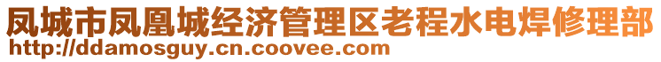 鳳城市鳳凰城經濟管理區(qū)老程水電焊修理部