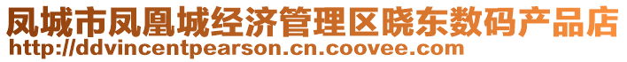 鳳城市鳳凰城經(jīng)濟(jì)管理區(qū)曉東數(shù)碼產(chǎn)品店