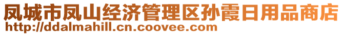 鳳城市鳳山經(jīng)濟管理區(qū)孫霞日用品商店