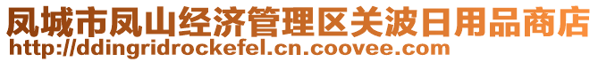 鳳城市鳳山經(jīng)濟(jì)管理區(qū)關(guān)波日用品商店