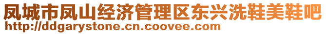 鳳城市鳳山經濟管理區東興洗鞋美鞋吧