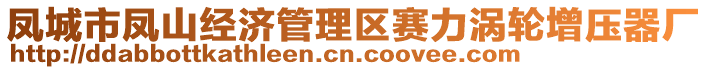 鳳城市鳳山經(jīng)濟(jì)管理區(qū)賽力渦輪增壓器廠