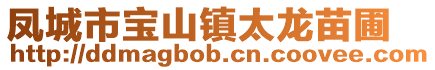 鳳城市寶山鎮太龍苗圃