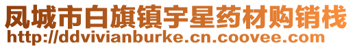 鳳城市白旗鎮宇星藥材購銷棧