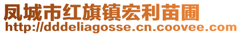 鳳城市紅旗鎮宏利苗圃