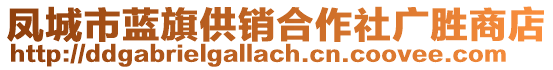 鳳城市藍旗供銷合作社廣勝商店