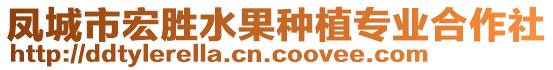 鳳城市宏勝水果種植專業(yè)合作社