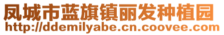 鳳城市藍(lán)旗鎮(zhèn)麗發(fā)種植園