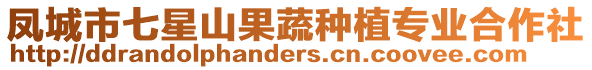 鳳城市七星山果蔬種植專業(yè)合作社