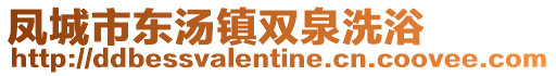 鳳城市東湯鎮雙泉洗浴