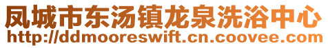 鳳城市東湯鎮龍泉洗浴中心