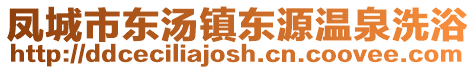 鳳城市東湯鎮東源溫泉洗浴