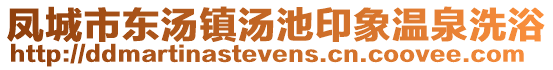 凤城市东汤镇汤池印象温泉洗浴