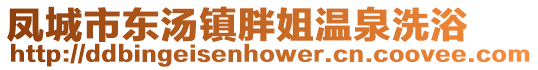 鳳城市東湯鎮胖姐溫泉洗浴