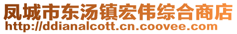 鳳城市東湯鎮(zhèn)宏偉綜合商店