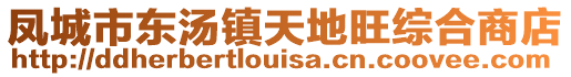 凤城市东汤镇天地旺综合商店