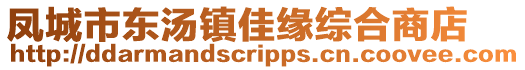 凤城市东汤镇佳缘综合商店