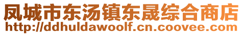 凤城市东汤镇东晟综合商店