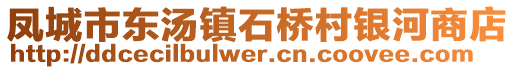 凤城市东汤镇石桥村银河商店