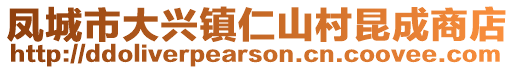 鳳城市大興鎮仁山村昆成商店