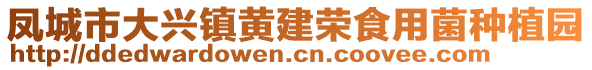 鳳城市大興鎮(zhèn)黃建榮食用菌種植園