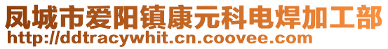 鳳城市愛陽鎮(zhèn)康元科電焊加工部